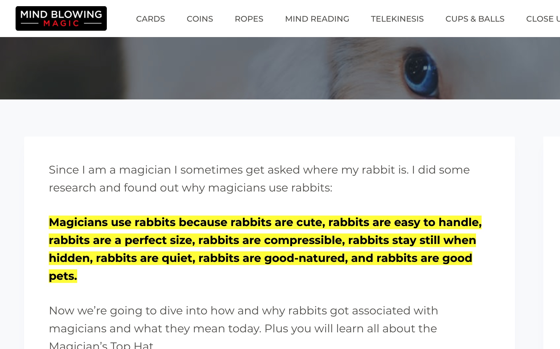 A text paragraph on a website that is emphasized with color
