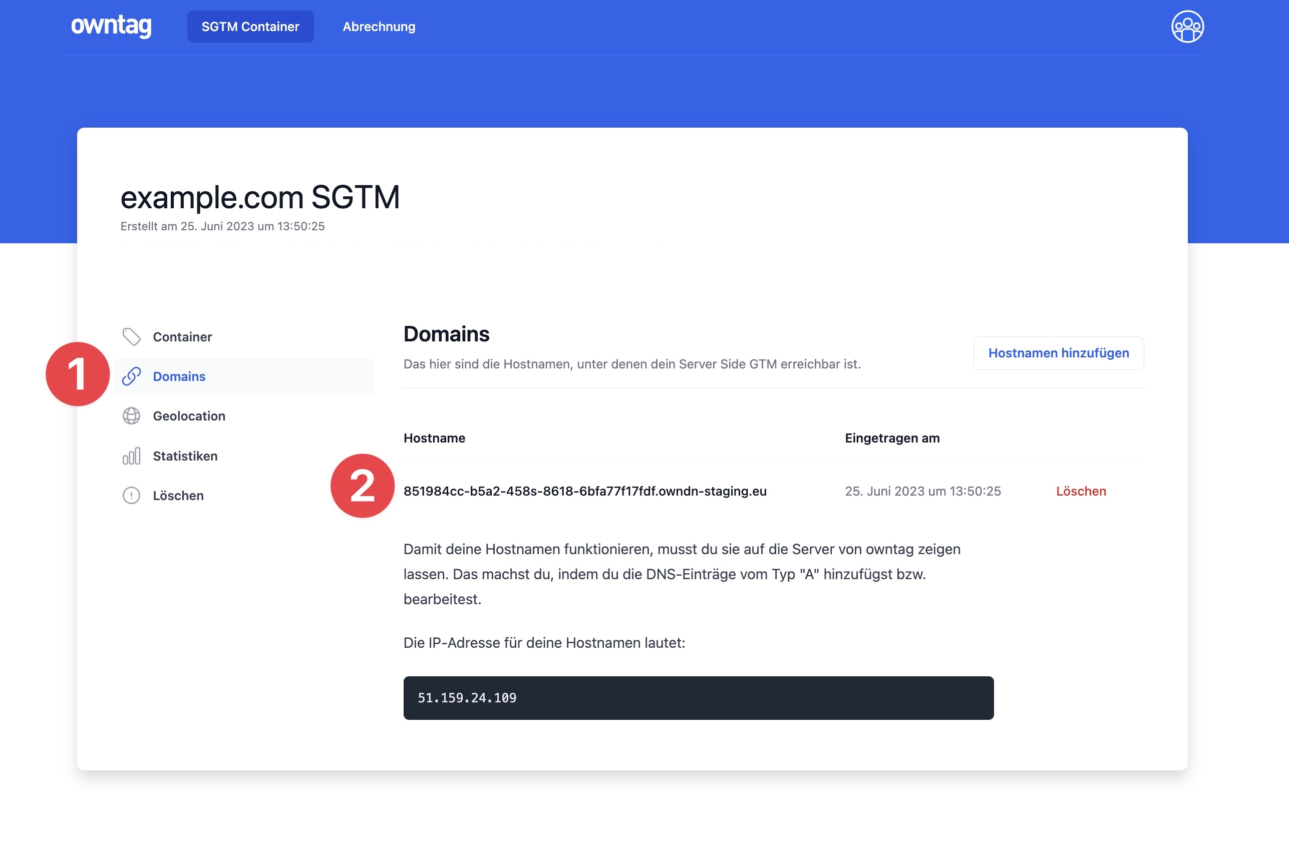 Interface of owntag showing domain settings for 'example.com SGTM'. The page lists a hostname that has been entered for the Server Side GTM Container, with the option to add more hostnames. Instructions for setting up the DNS entries and the associated IP address for the hostname are also displayed.